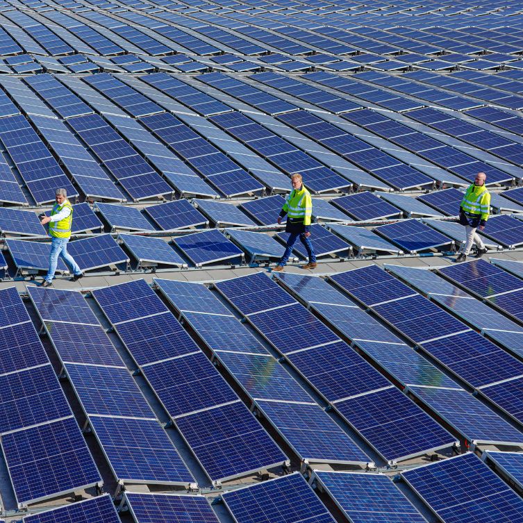 Het belang van verduurzaming in bedrijven streven naar meer dan alleen wettelijke verplichtingen