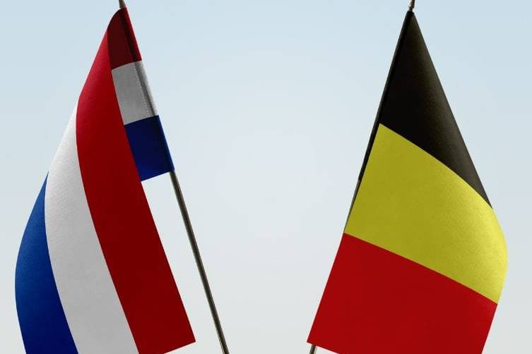 Vlaams-Nederlandse handelsdag